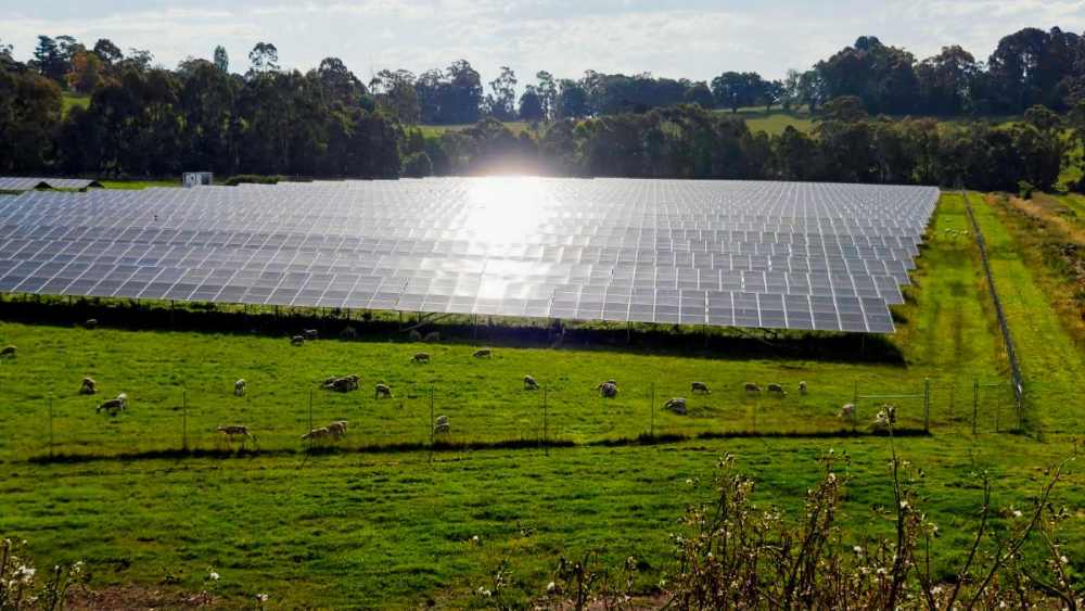 The Basin Solar Farm
